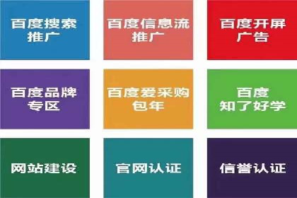 百度SEM推广案例解析：成功秘诀大公开